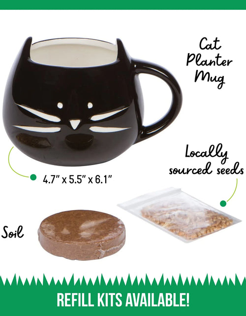 Load image into Gallery viewer, Kit De Hierba Orgánica Para Gatos Con Maceta De Cerámica Negra Para Gatos, Set De Regalo Fácil De Plantar En Interiores
