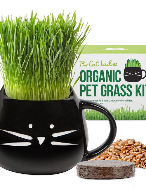 Load image into Gallery viewer, Kit De Hierba Orgánica Para Gatos Con Maceta De Cerámica Negra Para Gatos, Set De Regalo Fácil De Plantar En Interiores
